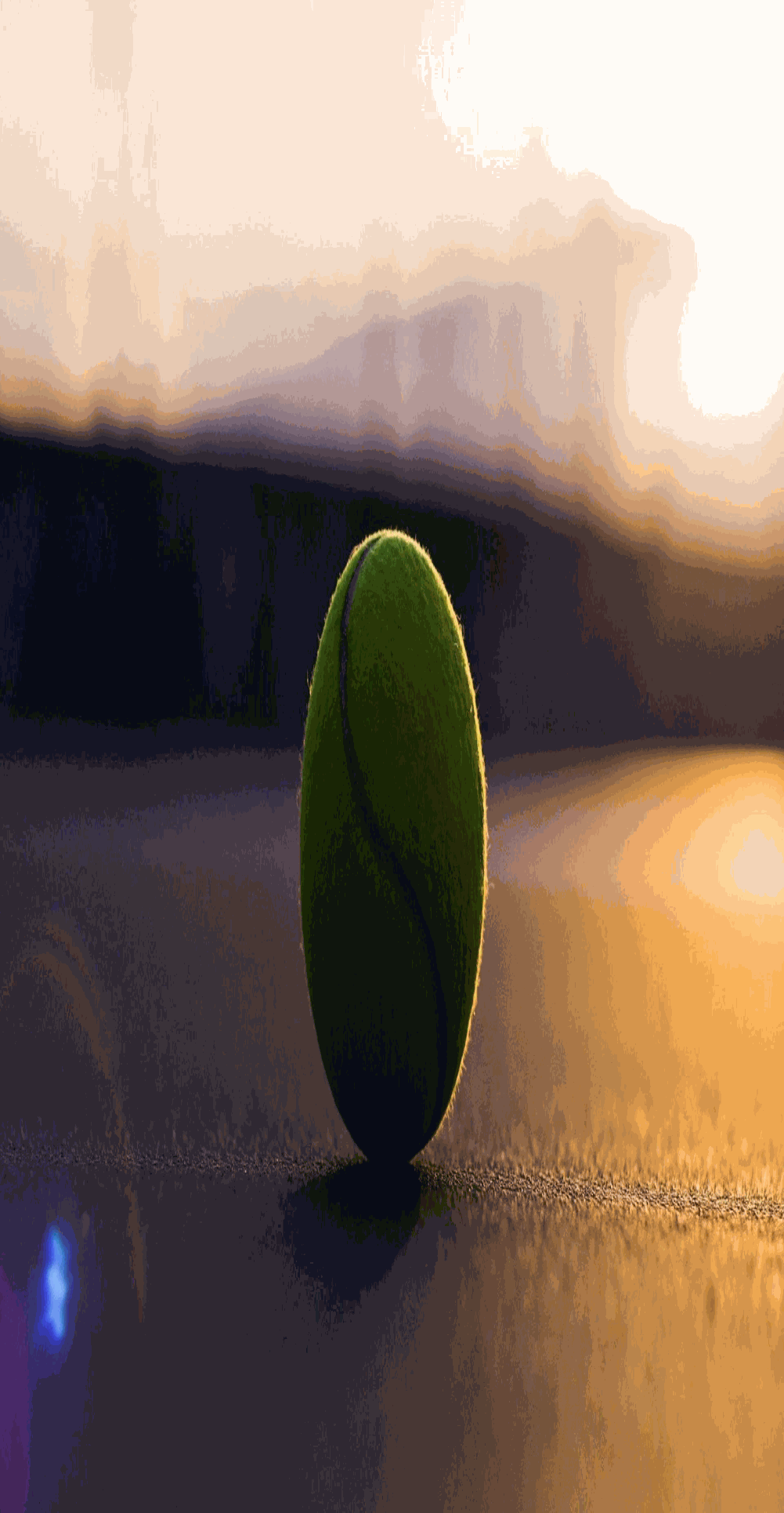 6.png